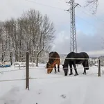Venkovske Tiche Pastviny *
