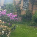 Venkovske Tiche Pastviny