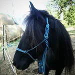 Venkovske Tiche Pastviny *