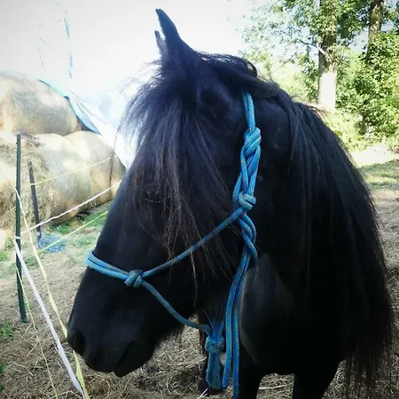 Venkovske Tiche Pastviny *